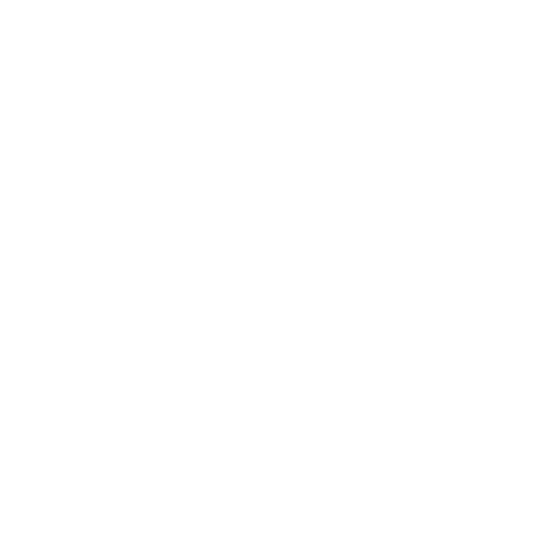 PDF white icon